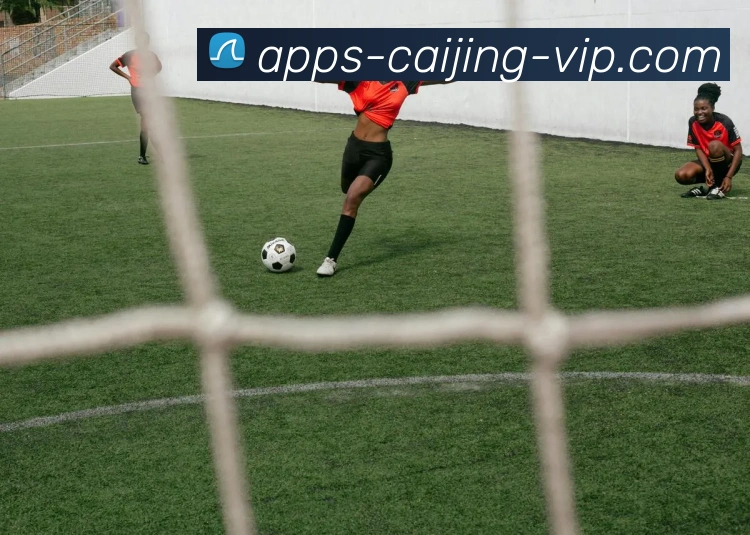 彩经网APP 高清赛事图